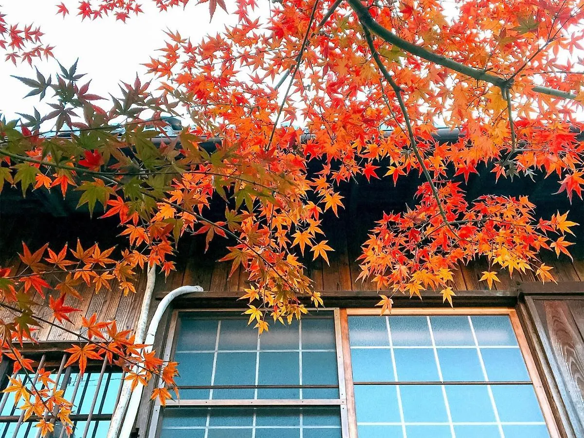Guesthouse Kioto 0*, Kyoto